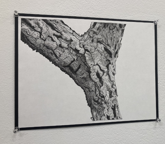 A black and white ink drawing of a tree trunk